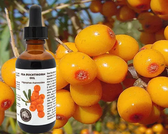 100% Pure Sea Buckthorn Fruit, Berry Oil (Cold)