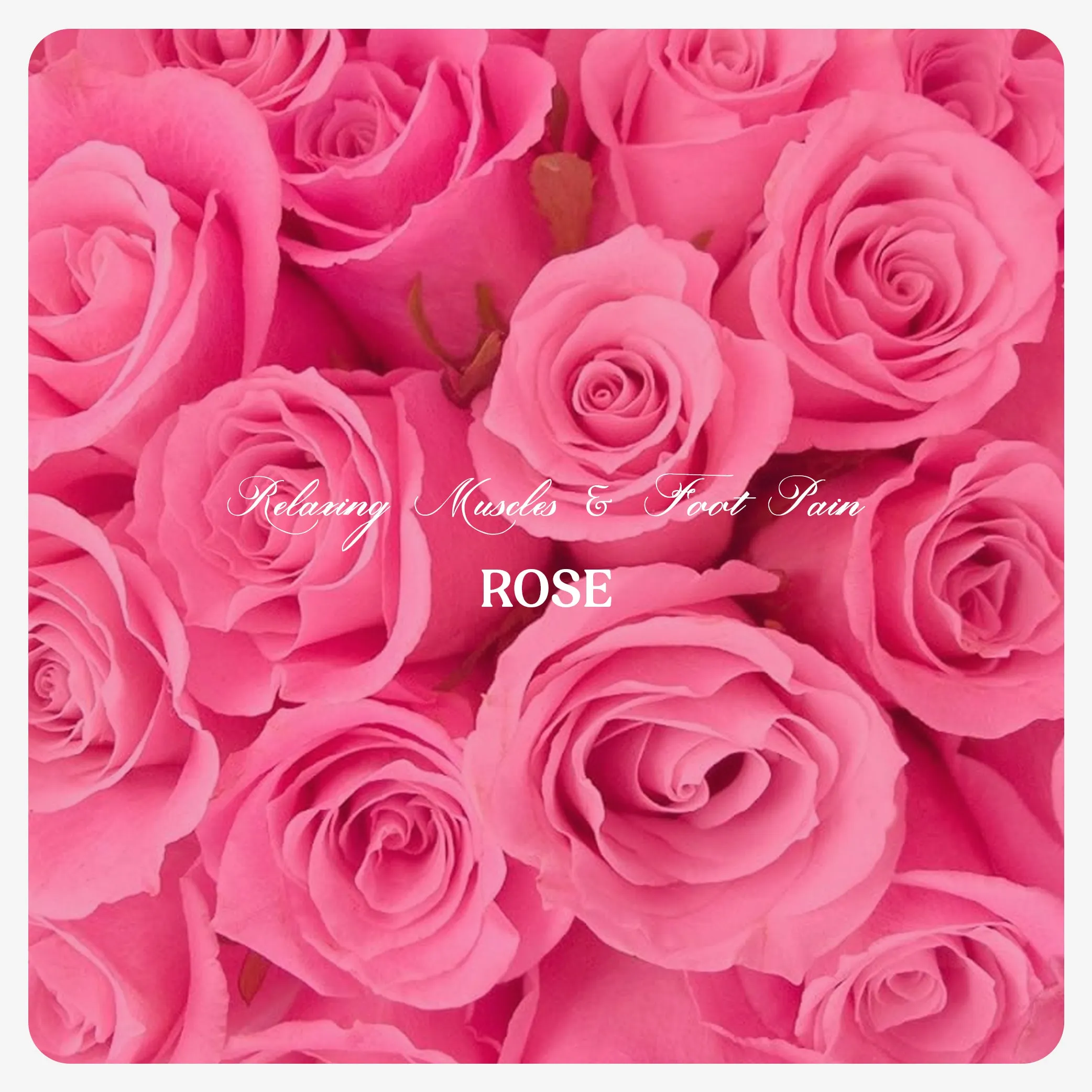 ROSE OIL (20 ML)